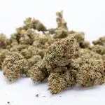 Fruit Punch Auto 2 // Zamnesia x B&B