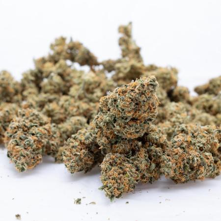 Fruit Punch Auto 2 // Zamnesia x B&B
