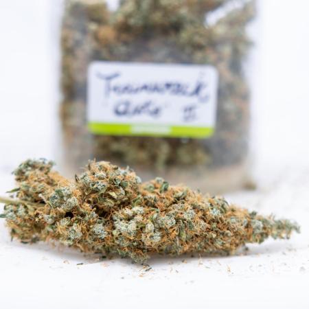 Trainwreck Auto 2 // Zamnesia x B&B