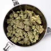 L.A. Kush Cake #3 - Zamnesia x B&B