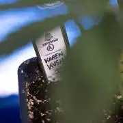 Karen Kush Auto I - Zamnesia x B&B