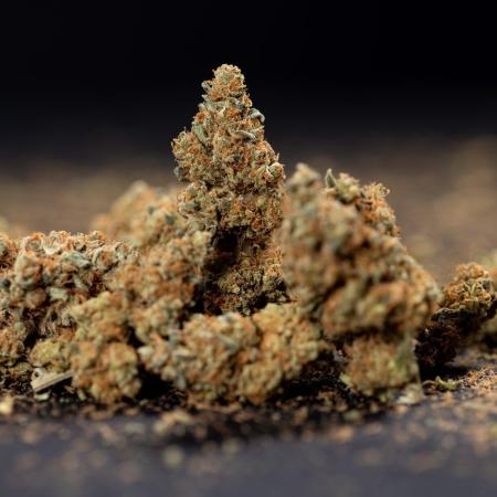 Blue Widow 🕷️  - Zamnesia x B&B