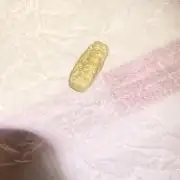 Lemonpaya coco fall 2025