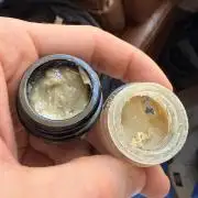 mellowz  2025  rosin run