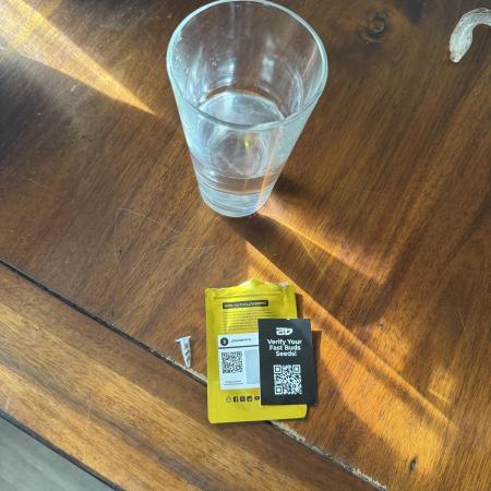 Lemonpaya coco fall 2025