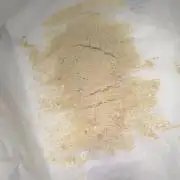 Lemonpaya coco fall 2025