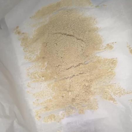 Lemonpaya coco fall 2025