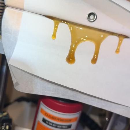 mellowz  2025  rosin run