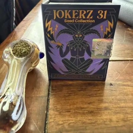 Joker 31
