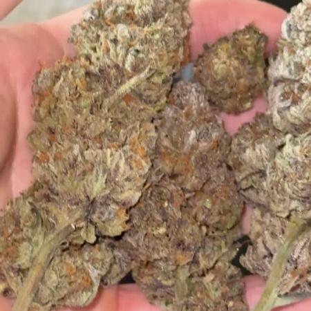 NYC vapor not listed