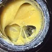 Lemonpaya coco fall 2025