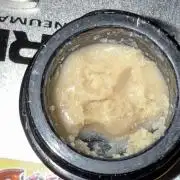 mellowz  2025  rosin run