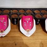 ROYAL QUEEN SEEDS