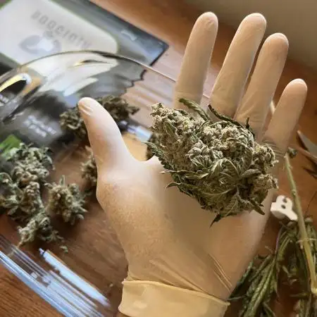 Space Bucket Grow Attempt #1