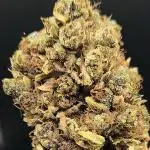 Amaretto Tarmac