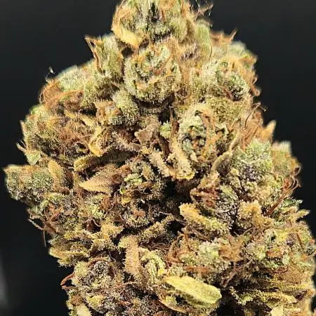 Amaretto Tarmac