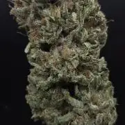 Original Oreoz