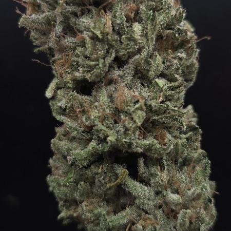 Original Oreoz