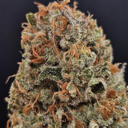 Fruit Punch