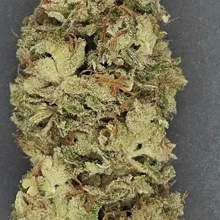 Pineapple Express MSNL