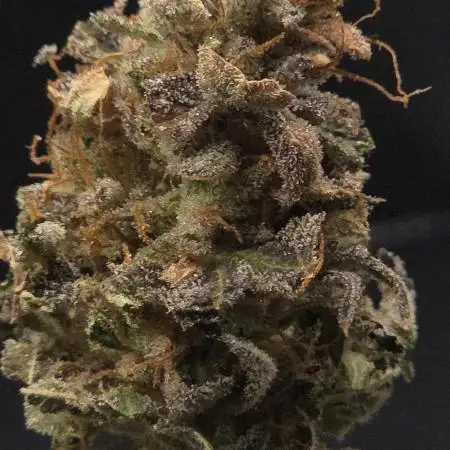 Banana Fumes