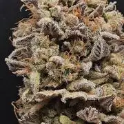 Purple Punch Cookies