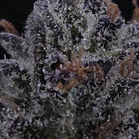Strawberry Cola Sherbet