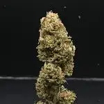 Banana Sherbet