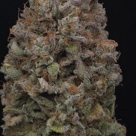 Zkittlez