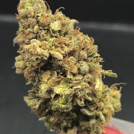 Blue Cookies