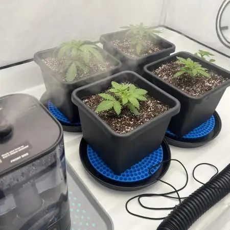 Lumatek mixed grow