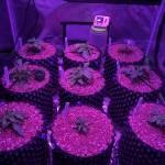 3rd grow 