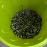 🐟💀 FERMAKOR: The Dorade Incident