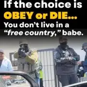 🍬🍭CandyCreamGFRosinDiary#2(Final)💨🔥