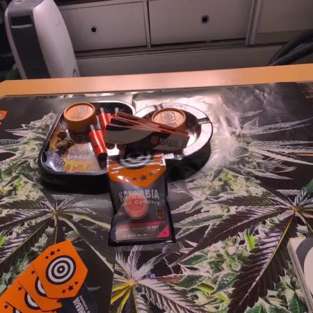 NEW EXCLUSIVE Kannabia Sunset Sherbet GF