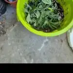 FERMAKOR BASE SYSTEM KOH VERSION