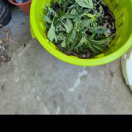 FERMAKOR BASE SYSTEM KOH VERSION