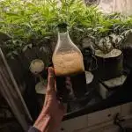 FERMAKOR BASE SYSTEM KOH VERSION