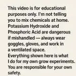 4:1 Becomes 1:1 PK — DIY Nutrients