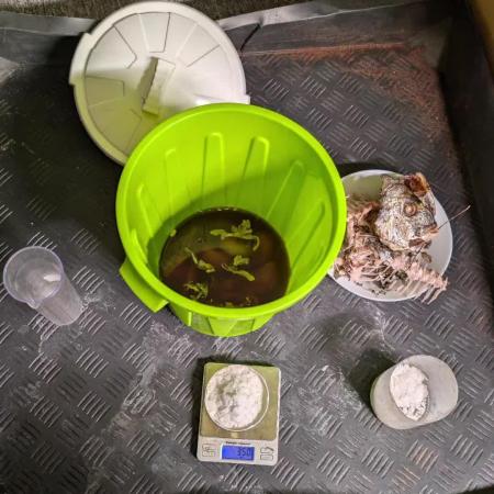 🐟💀 FERMAKOR: The Dorade Incident