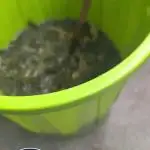 🐟💀 FERMAKOR: The Dorade Incident