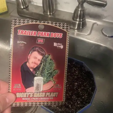 12/12 Ricky’s Sticky’s Hash Plant