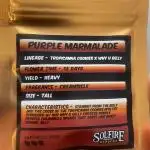 Purple Marmalade Pheno Hunt Living Soil