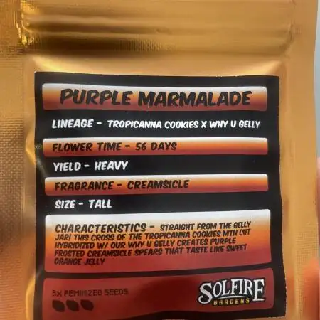 Purple Marmalade Pheno Hunt Living Soil