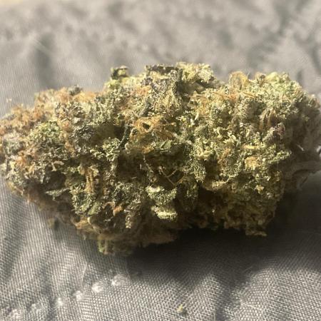 Purple Marmalade Pheno Hunt Living Soil