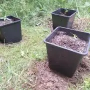 Guerilla Grow 2026 - spot # 2