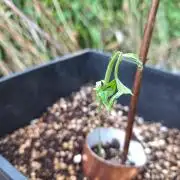Guerilla Grow 2026 - spot # 3