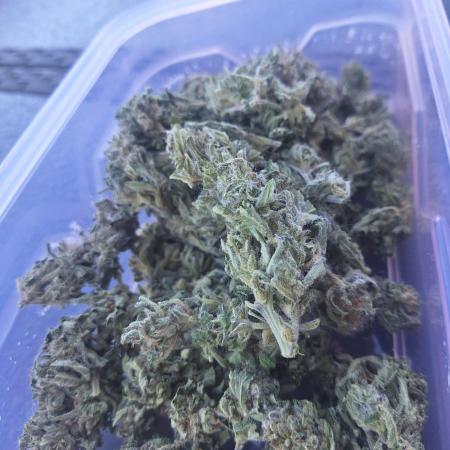 Guerilla Grow 2026 - spot # 3