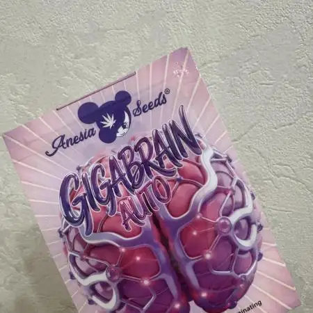 GIGABRAIN AUTO