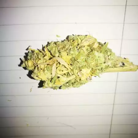 Cheeses auto